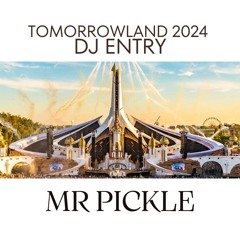Tomorrowland 2024 DJ Entry - Mr Pickle