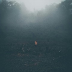 Insomnia