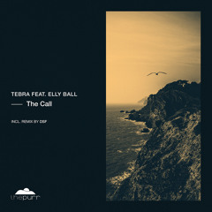 Tebra feat. Elly Ball - The Call (DSF Remix)