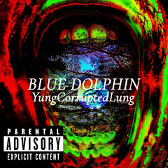BLUE DOLPHIN
