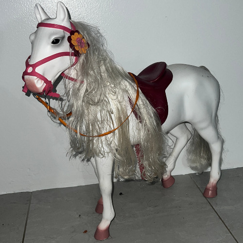 a horse's daydream cycle