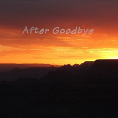 After Goodbye