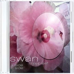 swan [a side]
