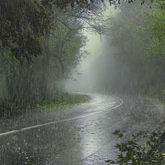 قرآن + صوت مطر❤️‍🩹