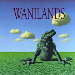 WANIWAVE’Z CYBER WONDER TWISTED WASTELAND, or WANILANDS(beta testing)