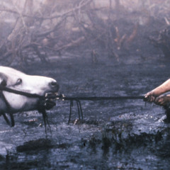 Swamps of Sadness Cover.m4a