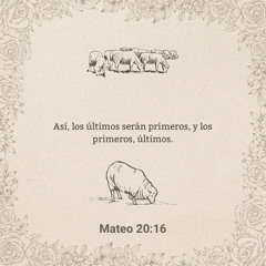 MATEO 20:16 (SESSION AFRO HOUSE)