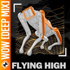 Flying High - WoW (Deep Mix)