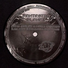 Premiere: DJ 433 - For Lise (Fearless) (fan006)