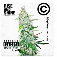 Bigshard$ - Dawg Got Rip