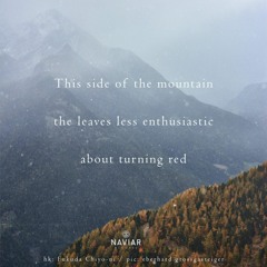 Nora(naviarhaiku382)