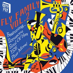 VA - Fly Family Vol.2 (City Fly Records)