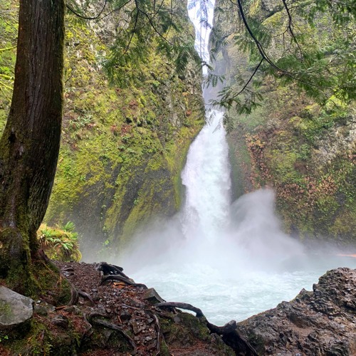 Best hikes columbia river gorge online