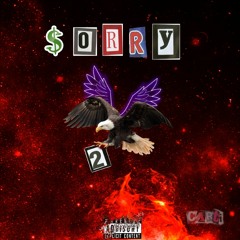 $orry Pt.2(prod by.Cactus)