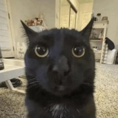 stereotypical rap song with stereotypical lyrics prod. goofball980