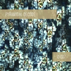 Dynamic Reflection Podcast Series 007: Pyramidal Decode