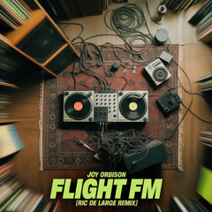 Joy Orbison - Flight Fm (Ric de Large DnB Remix)