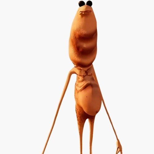 ROBERT HELP