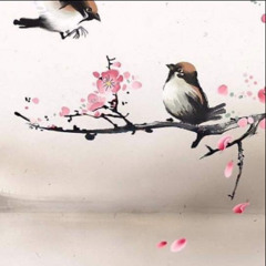 CHILL RELAX CHERRY - HAOZI