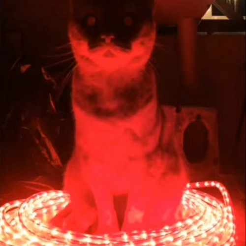 Stream demonic little grey cat theme song phase 2 by dubsteppon3