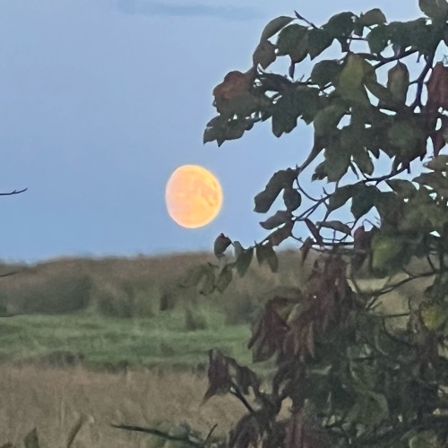 Spinning around version 2 (ft white fox)