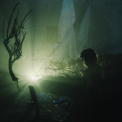 —𝔣𝔬𝔯𝔢𝔳𝔢𝔯 𝔣𝔯𝔬𝔷𝔢𝔫—𝔡̵̸̷melting reality ambient mix by serenitysoundseeker ̴̛̤̘̋͂͠ ̞