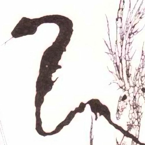 Omar Ayari - Thespian