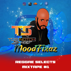 TNS MoodFixaz: Reggae Selects Mixtape #1
