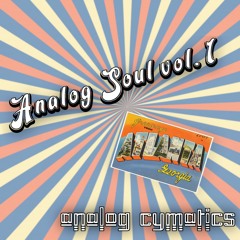 Analog Soul Mix [vol. 1]