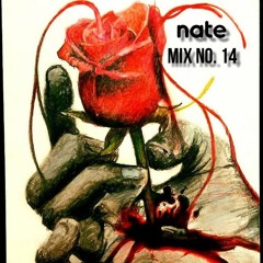 nate - mix no. 14 - Feels