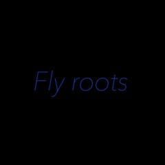 Fly roots (feat.ZENIM&A-fine&C9red)