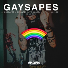 SIRDSAPES X GAYSAPES Live DJ Set @ Skapis (03.11.23)