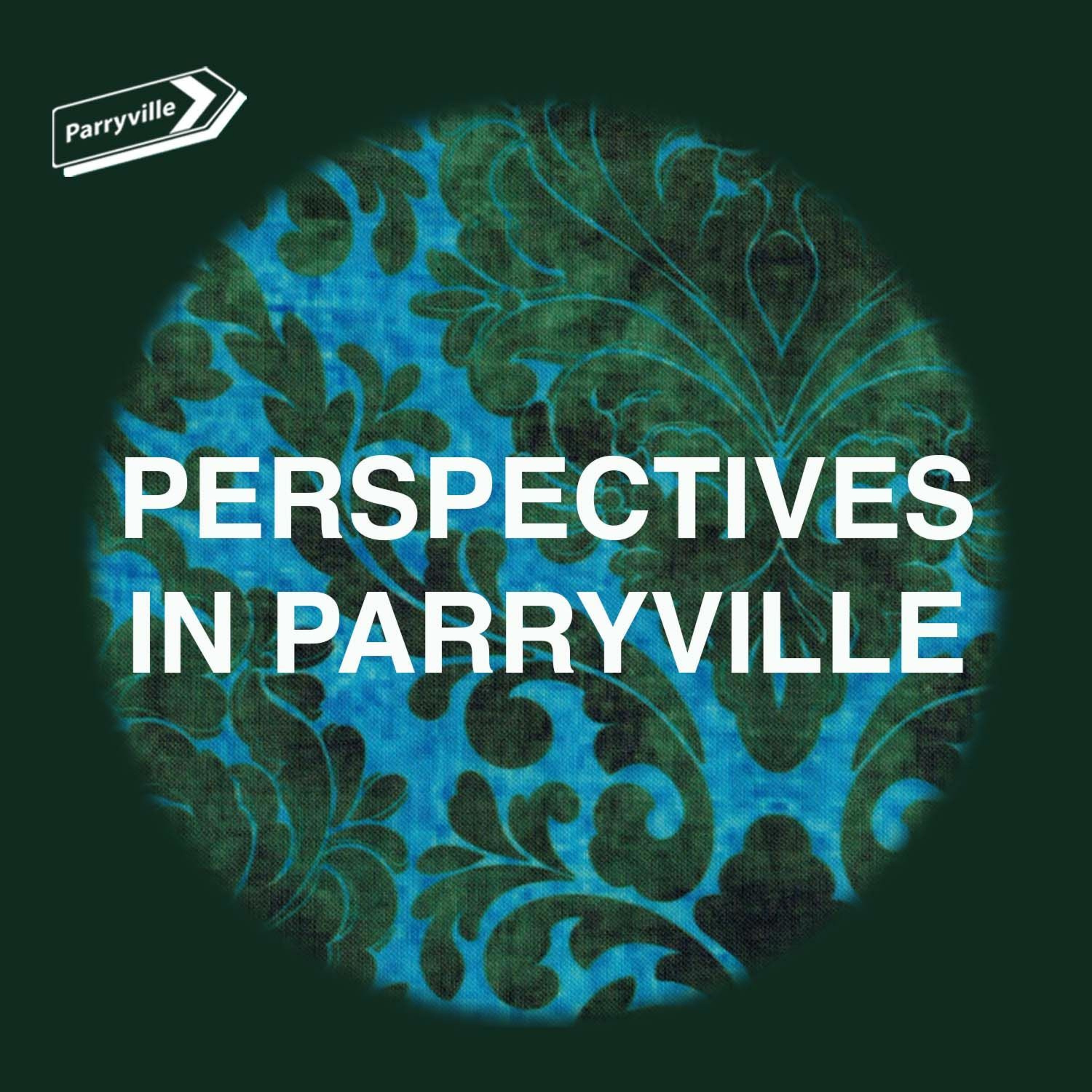 Perspectives in Parryville