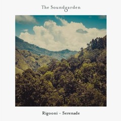 RIGOONI - August Tears [The Soundgarden]