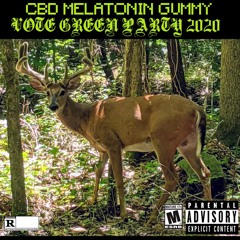 Green Party (Co-Produced by Crickets Make Math)