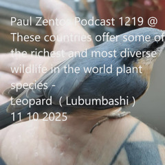 Paul Zentos Podcast 1219 @ These countries offer some of the richest and most diverse wildlife in the world plant species - Leopard  ( Lubumbashi ) 11 10 2025
