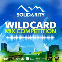 SOLIDARITY 2023 WILDCARD COMP // HOLLOW