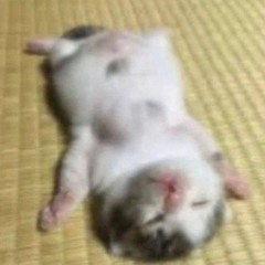 spink