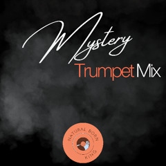 Mystery - Trumpet Mix