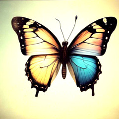 My Butterfly