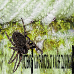 Я чувствую, как они ползают у меня под кожей