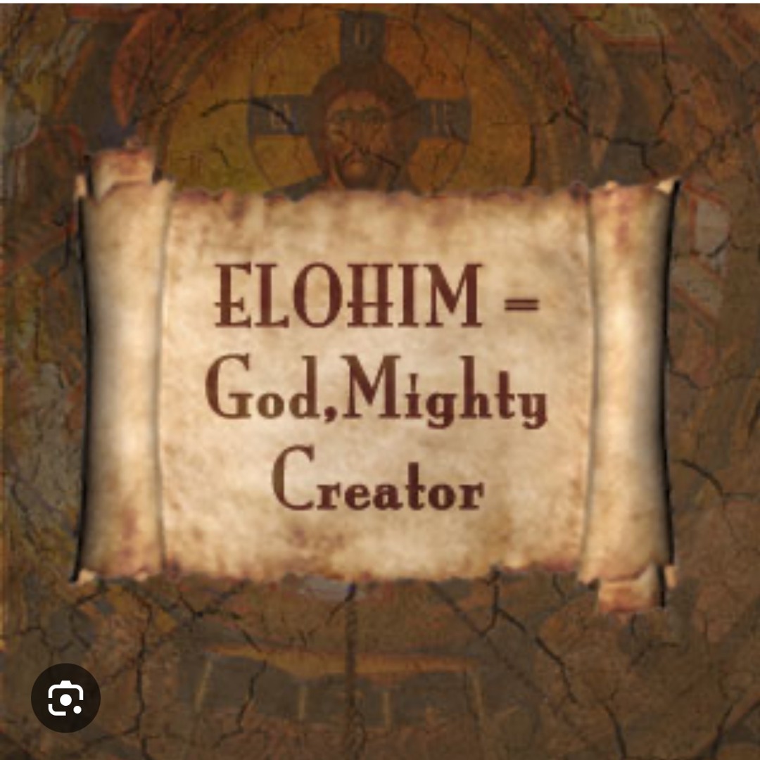 elohim net worth