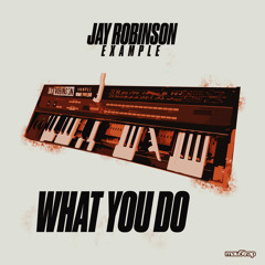 What You Do (feat. Example) (Radio Edit)