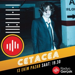 Cetacea - Müzik Market #cetacea