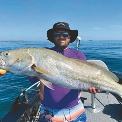 Flatty Mix