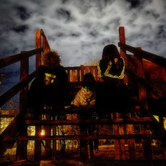 кисы-котики 2.0