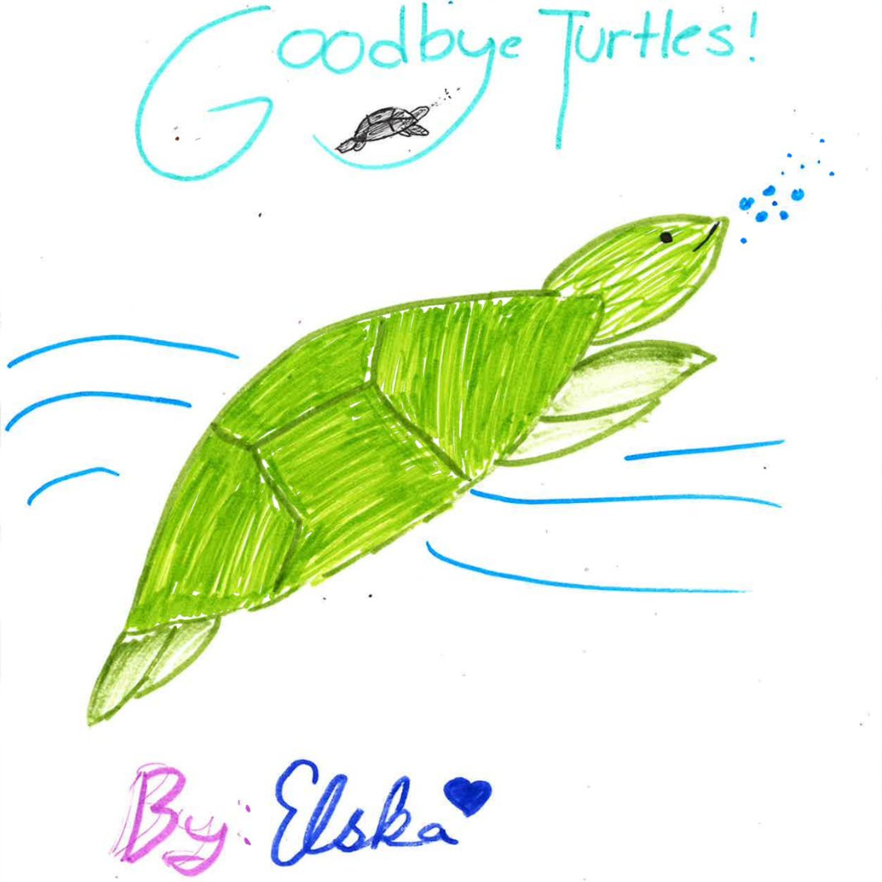 Goodbye Turtles by Elska episode artwork