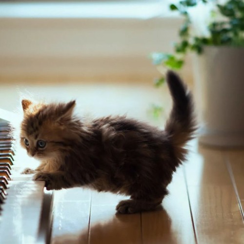 เดรคเทรคเทรคเทรคเทรคเทรคเทรคเทรคเทรค​​​​​​​​​​​​ audio background music DOWNLOAD