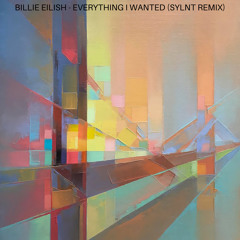Everything I Wanted (Sylnt Remix)