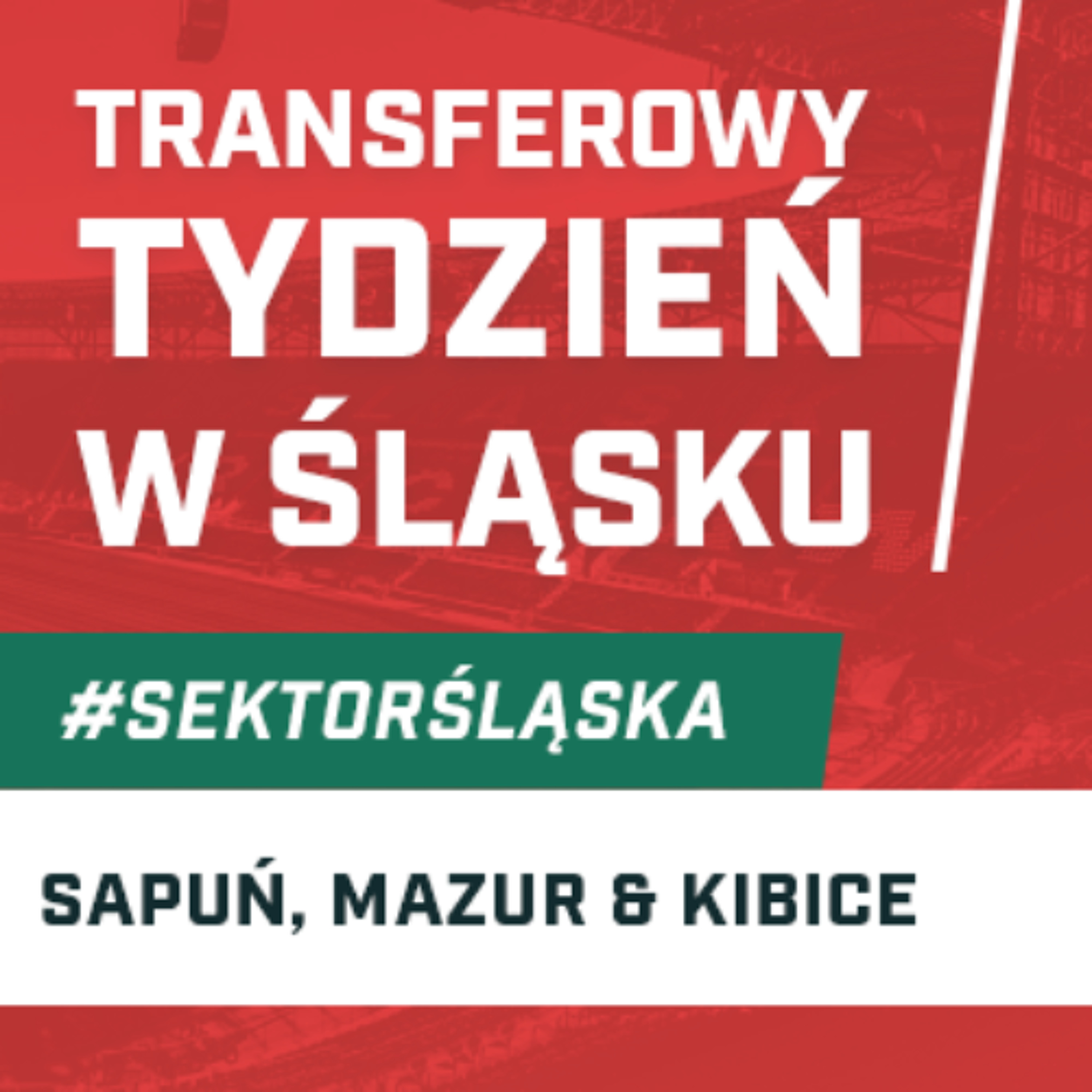 Śląsknet